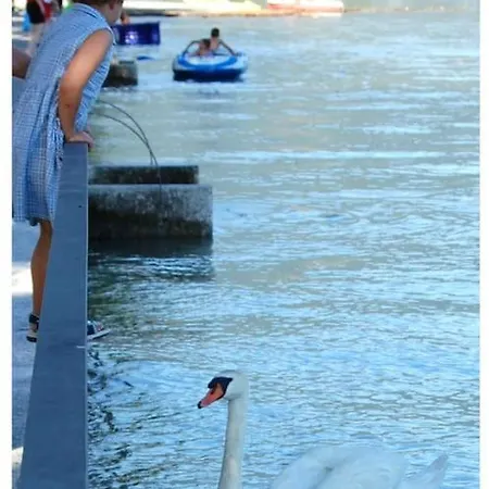 Casa Mimosa - Vacanze Sul Di Apartman Sorico